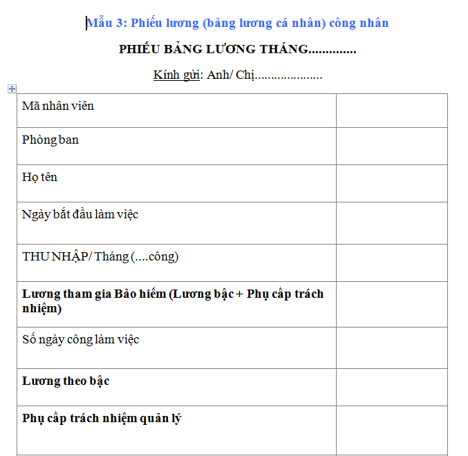 Mẫu 3: Phiếu lương (bảng lương cá nhân) nhân viên 