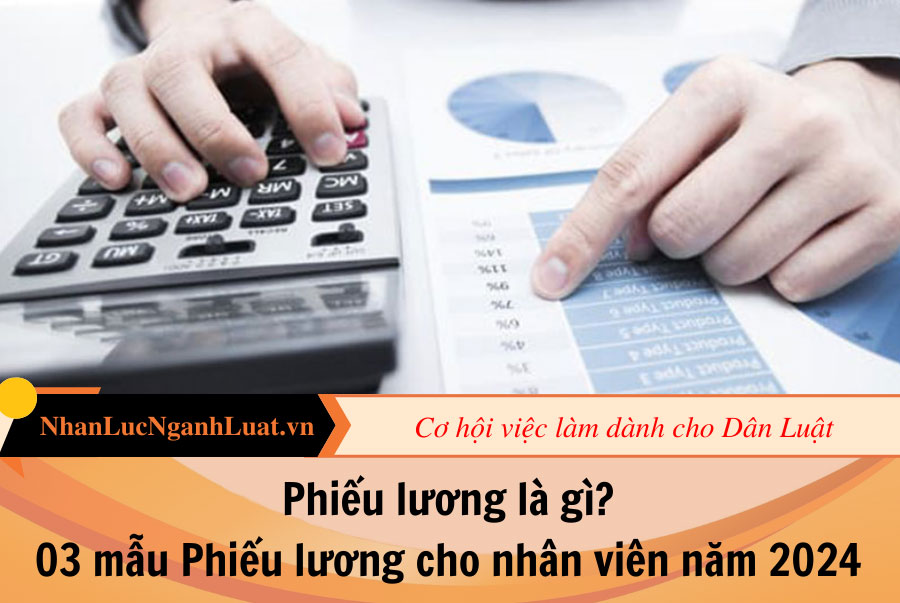 Phiếu lương là gì? 03 mẫu Phiếu lương cho nhân viên năm 2024