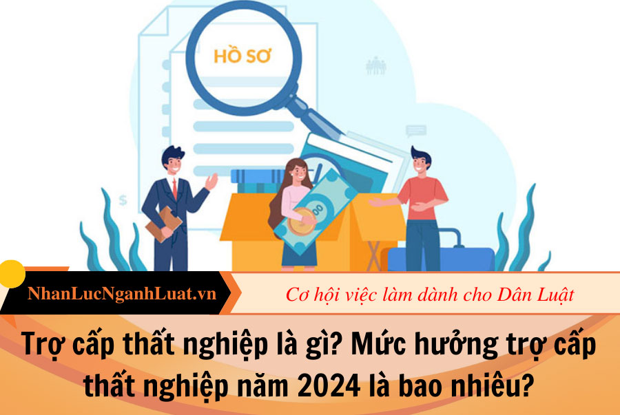 Trợ cấp thất nghiệp là gì? Mức hưởng trợ cấp thất nghiệp năm 2024 là bao nhiêu?