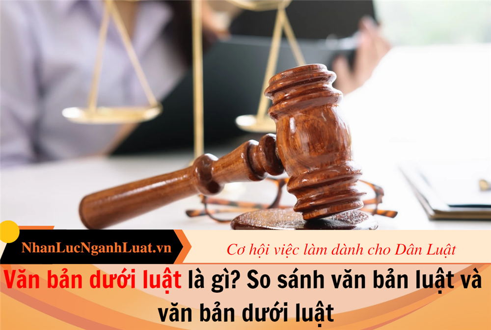 Văn bản dưới luật là gì? So sánh văn bản luật và văn bản dưới luật