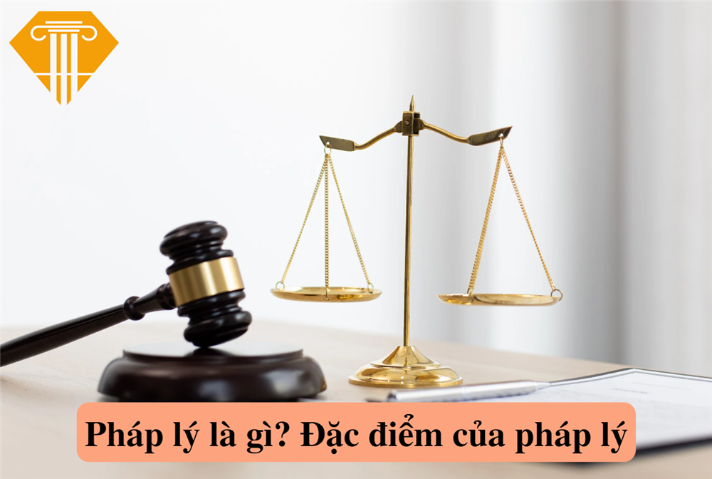 Pháp lý là gì? Đặc điểm của pháp lý