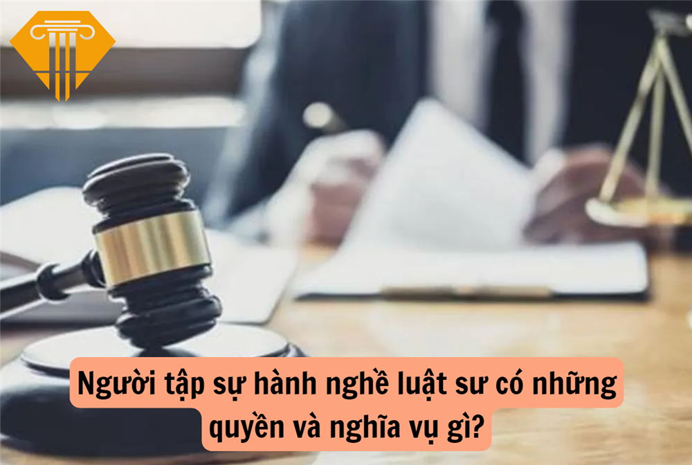 Người tập sự hành nghề luật sư có những quyền và nghĩa vụ gì?