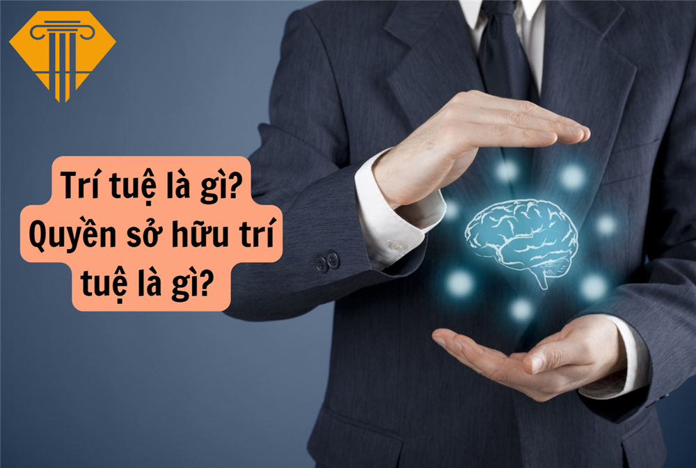 Trí tuệ là gì? Quyền sở hữu trí tuệ là gì? Đối tượng của quyền sở hữu trí tuệ gồm những đối tượng nào?