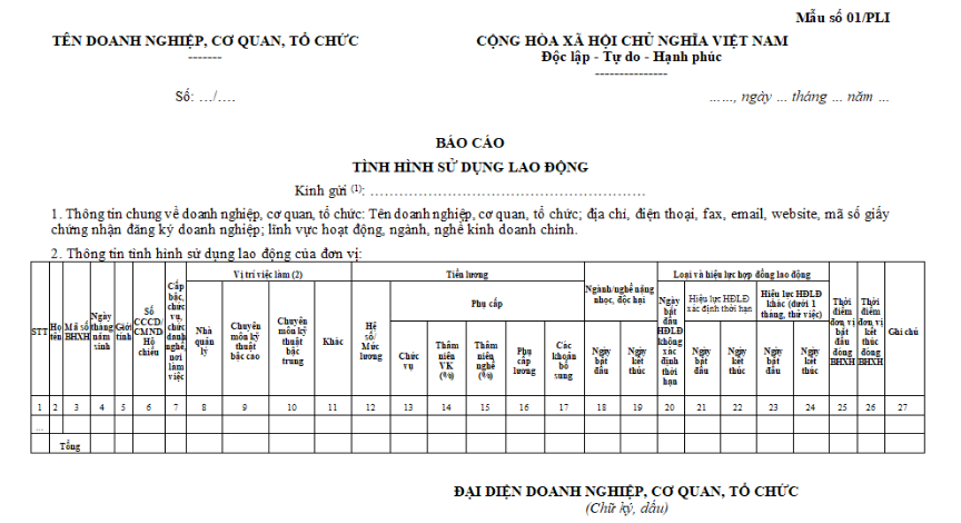 Mẫu báo cáo tình hình sử dụng lao động 06 tháng đầu năm 2024 mới nhất là mẫu nào?