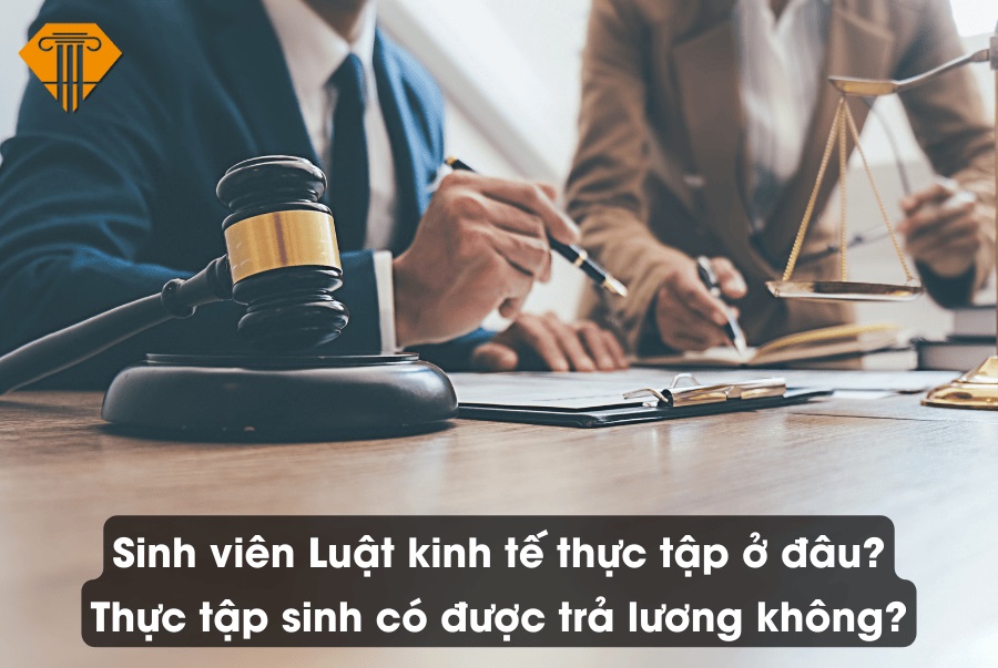 Sinh viên Luật kinh tế thực tập ở đâu?Thực tập sinh có được trả lương không?