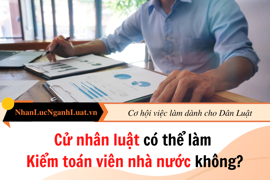 Cử nhân luật có thể làm Kiểm toán viên nhà nước không?