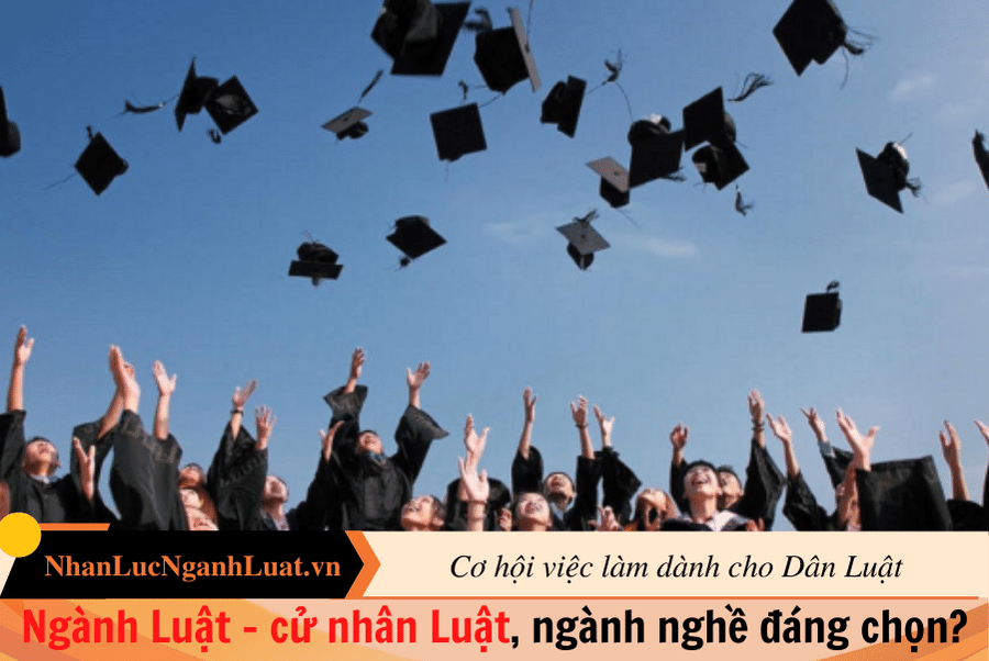 Ngành Luật - cử nhân Luật, ngành nghề đáng chọn? 