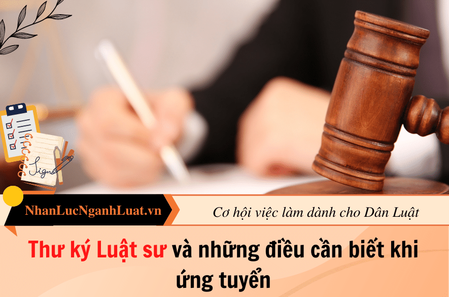 Thư ký Luật sư và những điều cần biết khi ứng tuyển